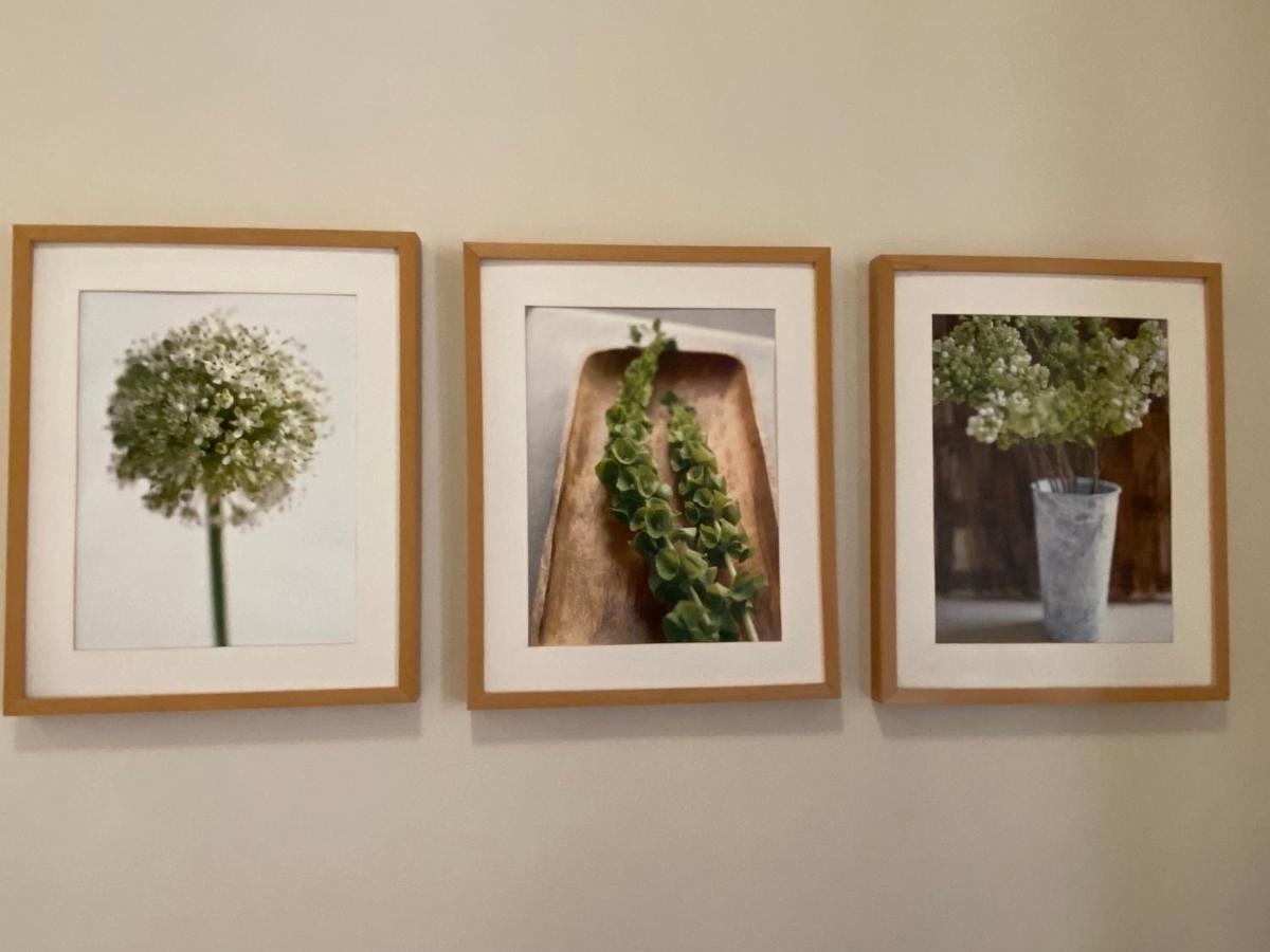 Klimatyczny Apartament Przy Rynku Wroclaw Ngoại thất bức ảnh